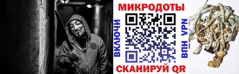 Псилоцибиновые грибы мицелий  Саки 
