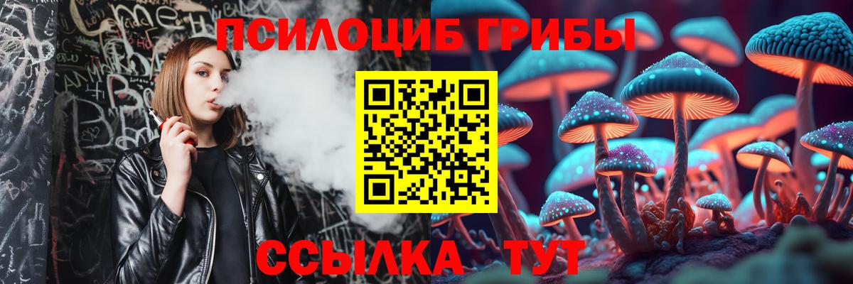 Саки  хочу   Вход с VPN  Галлюциногенные грибы Psilocybine cubensis 